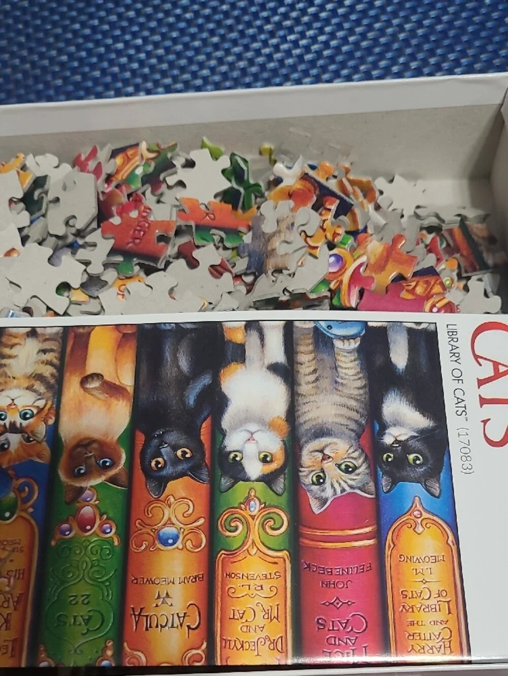 Buffalo David Bitton Multicolor & Orange Cats Book Spine Puzzle